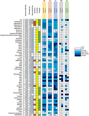 Insights Into Sexual Maturation and Reproduction in the Norway Lobster (Nephrops norvegicus) via in silico Prediction and Characterization of Neuropeptides and G Protein-coupled Receptors